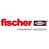 Ferro-Electric fischer